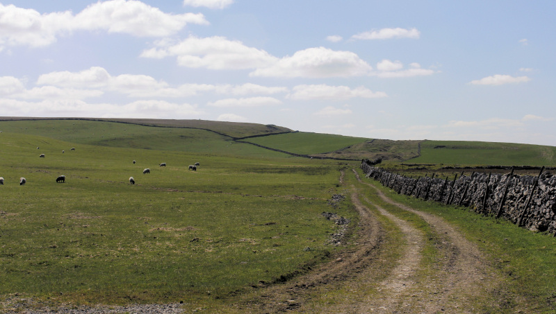 Old Moor